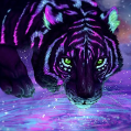 YTStarGazer